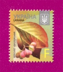 2015 8-�� �������� F ������� �����